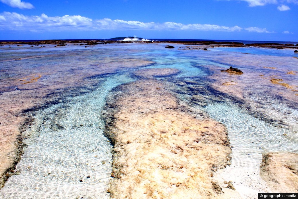 Eua Island Coral Reef in Tonga