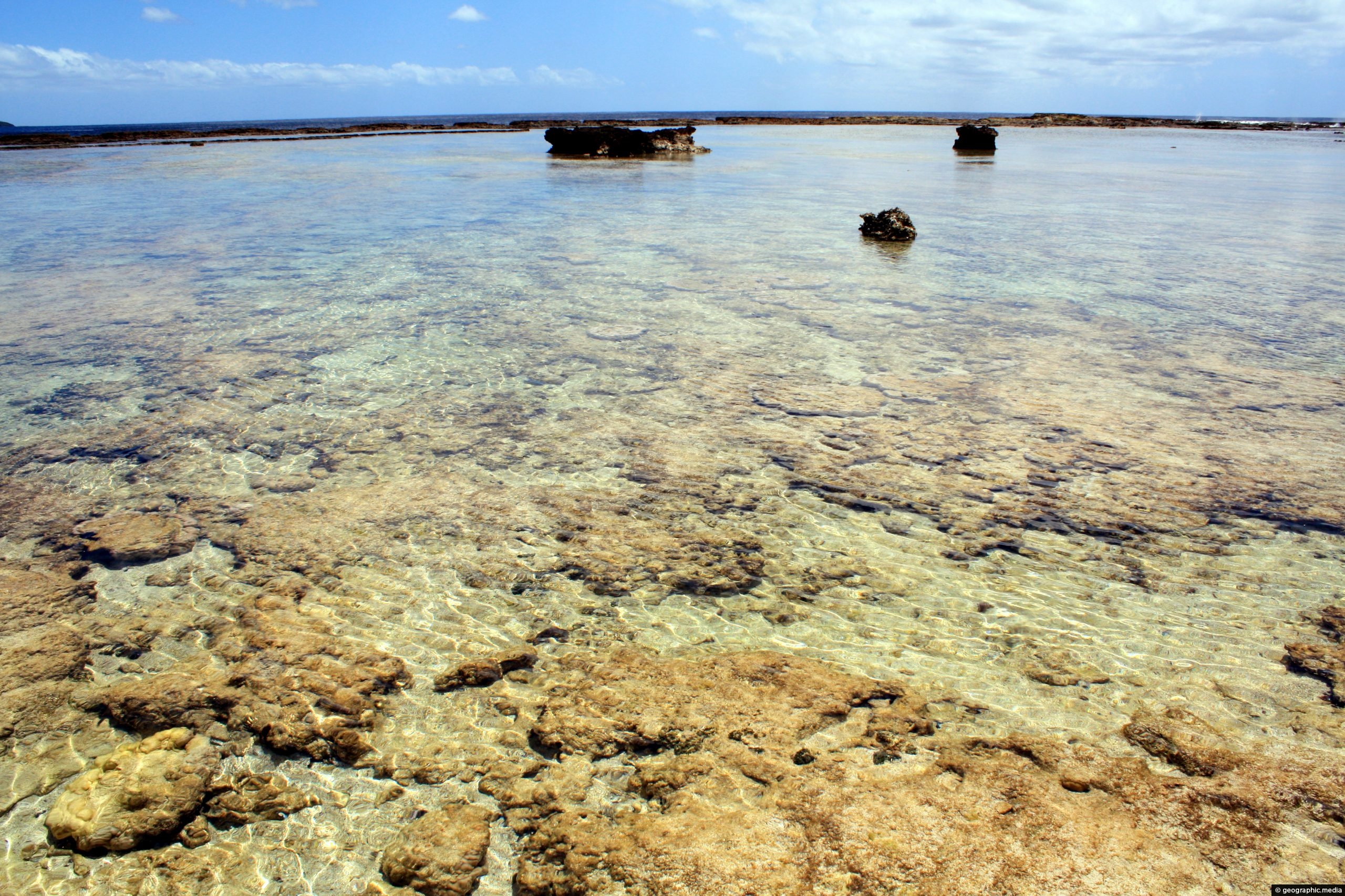Coral Reef Eua Island Tonga